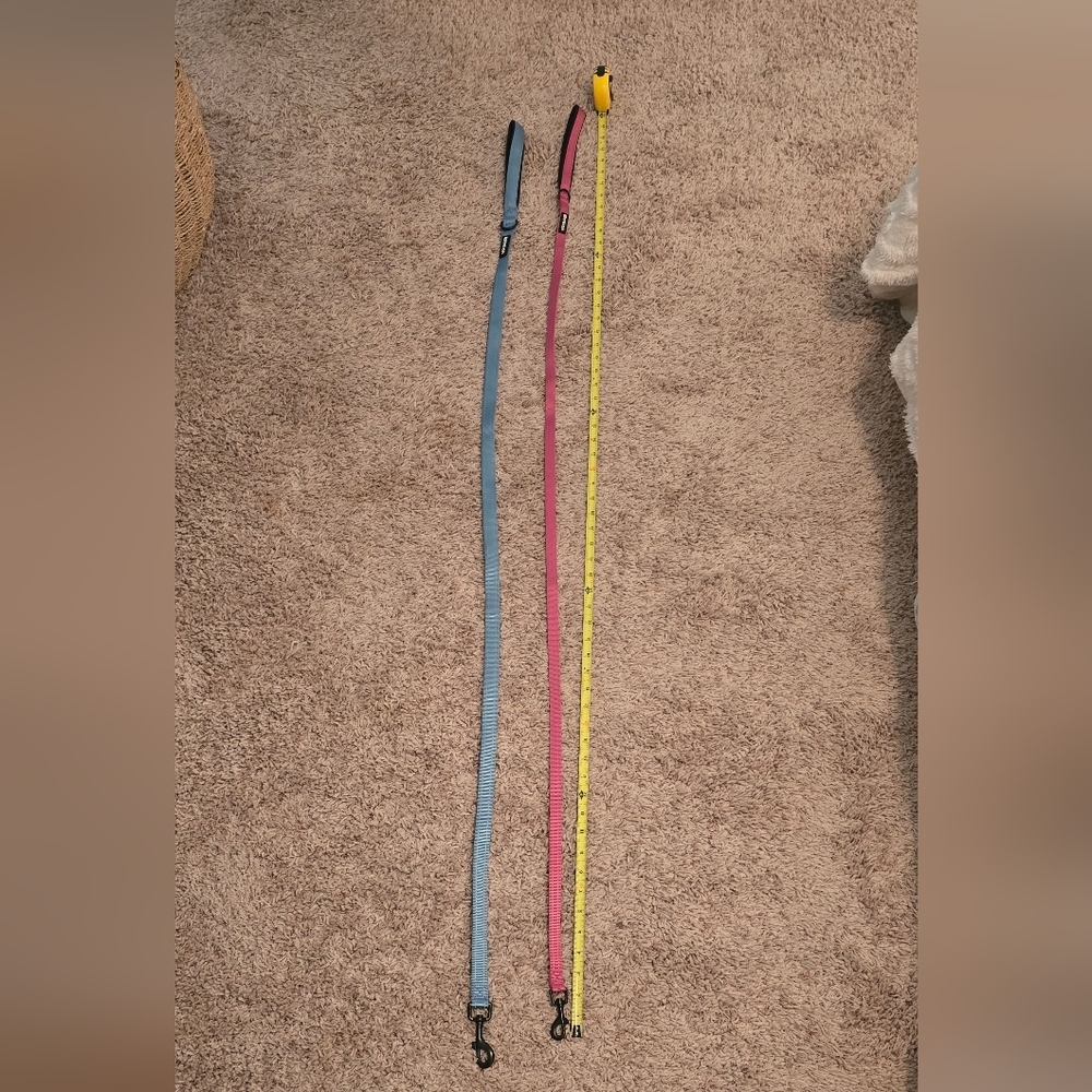 2 Voyager Dog Leashes - Pink And Blue (1206)